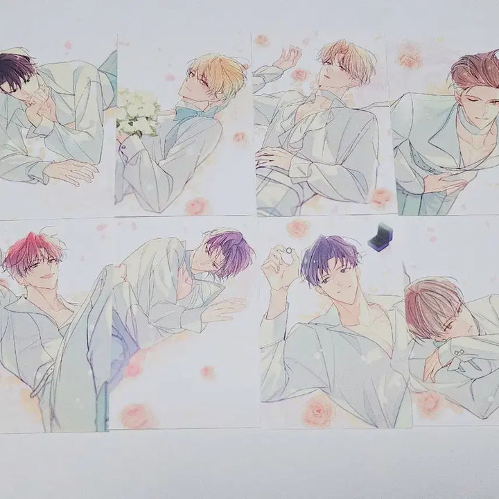 [BUNJANG] Debut or Death Deadl_y Sickness Merchandise Bundle Set - Postcards/Photo Prints / 일괄)데뷔 못 하면 죽는 병 걸림 데못죽 굿즈 엽서/프박 양도합니다.