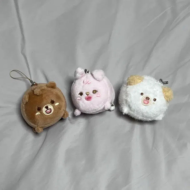 [BUNJANG] DAY6 PETIT MERZ Mini Doll Sungjin / 데이식스 쁘띠멀즈 미니 사족보행 인형 필