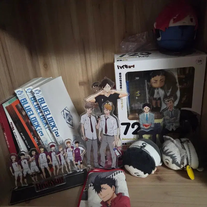 [BUNJANG] Haikyuu!! &amp; Blue Lock Merchandise Bundle (Manga, Acrylics, Nendoroids, Plushies) / 급처)하이큐,블루록굿즈팝니다!만화책,엽서,넨도로이드,아크릴,모찌마스 포함