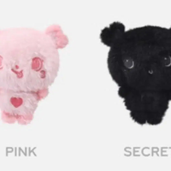[BUNJANG] NCT WISH Color Wish Doll Pangyi / 엔시티위시 컬러위시돌 팡이 양도