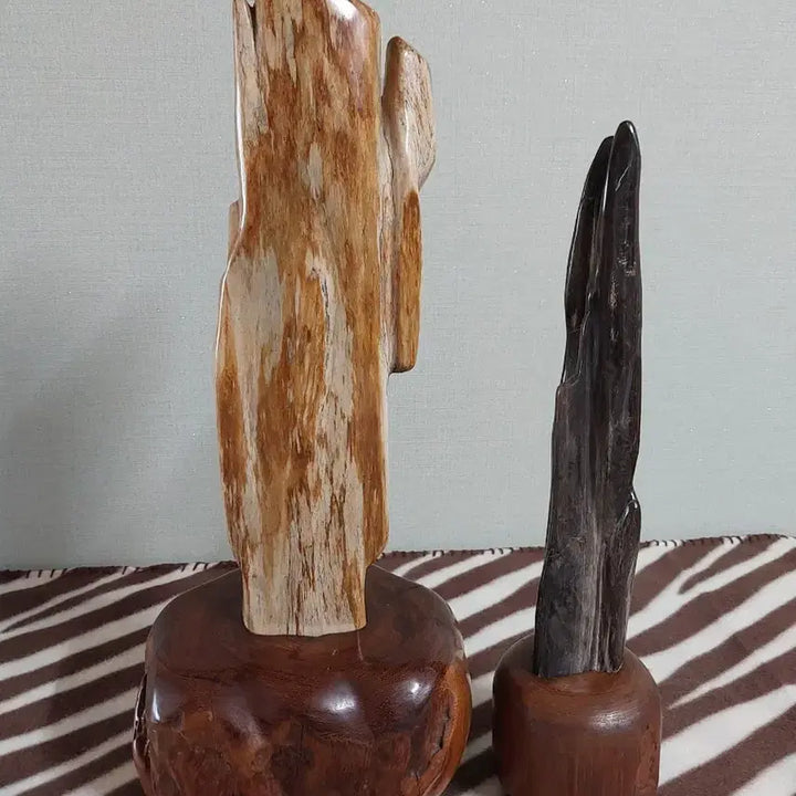 [BUNJANG] Petrified Wood Decor Set (2 Pieces) / 나무화석2점일괄