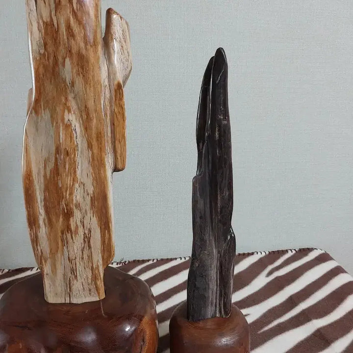 [BUNJANG] Petrified Wood Decor Set (2 Pieces) / 나무화석2점일괄