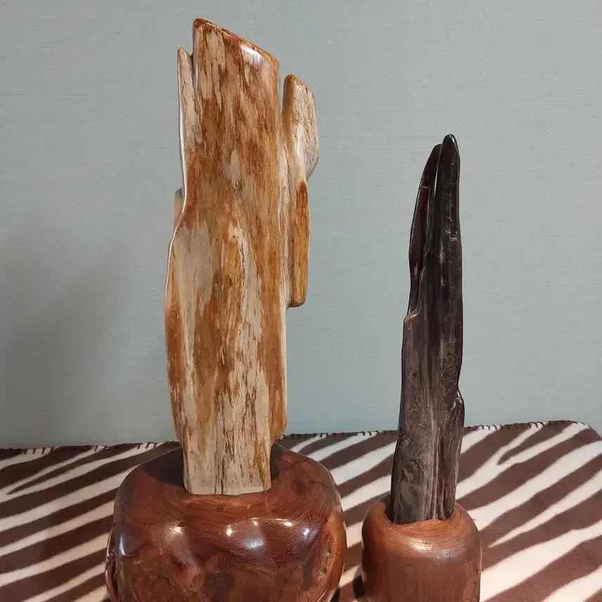 [BUNJANG] Petrified Wood Decor Set (2 Pieces) / 나무화석2점일괄