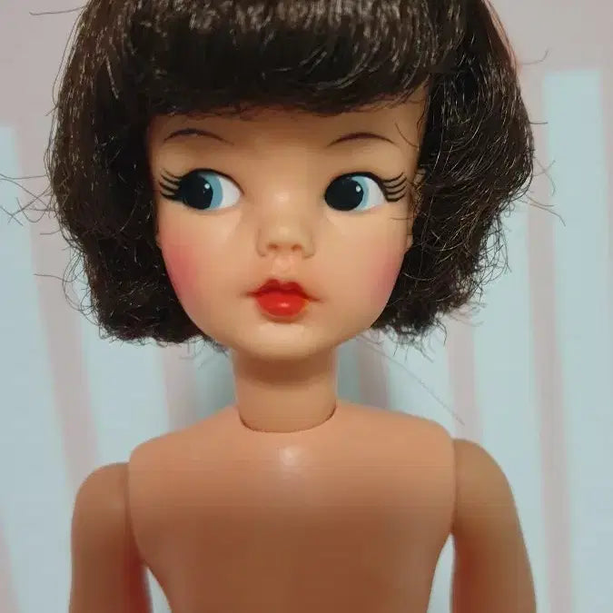 [BUNJANG] Vintage Tammy Doll - Dark Brunette Hair / 빈티지 인형 - 타미