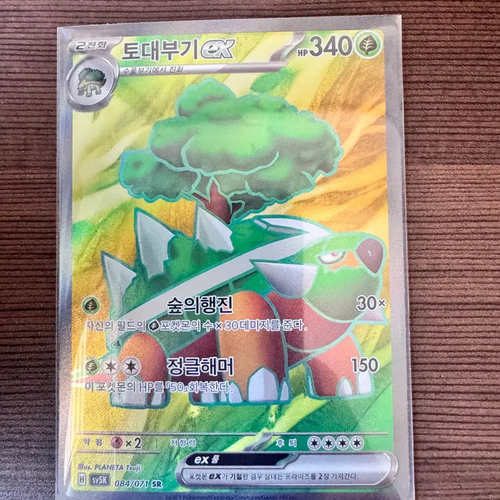 [BUNJANG] Pokemon TCG Grotle SR Card / 포켓몬스터 카드 토대부기 sr