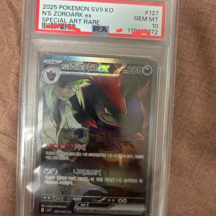 [BUNJANG] Pokemon Zoroark PSA 10 Graded Card / 포켓모니드 엔의 조로아크 psa10