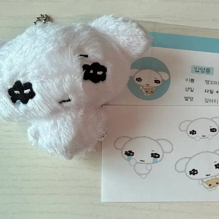 [BUNJANG] BOYNEXTDOOR Myung Jaehyun "Myeongkkomi" Doll (Special Gift Included) / 보넥도 명재현 명꼬미 특전포함 보이넥스트도어 재현 비공굿인형