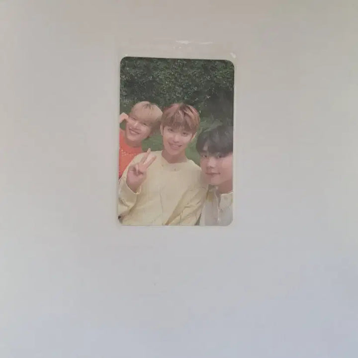 [BUNJANG] ZB1 (ZEROBASEONE) Bring Green Unit Photocard / zb1 제베원 브링그린 유닛 포카