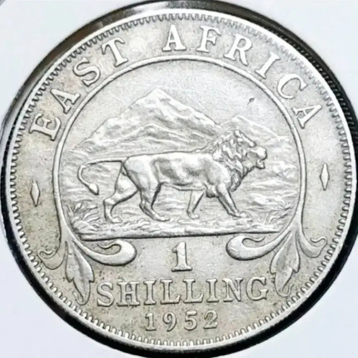 [BUNJANG] 1952 British East Africa 1 Shilling Large Coin / 영국령 동아프리카 1952년 1실링 대형주화.외국주화 주화 화폐 동전