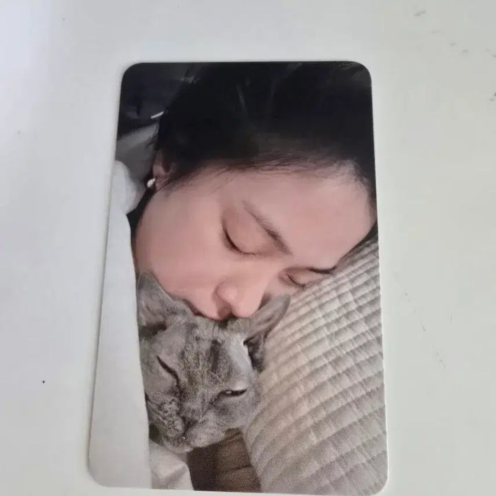 [BUNJANG] ITZY Ryujin Official Photocard (Soundwave Lucky Draw) / 있지 모토 류진 공방포카