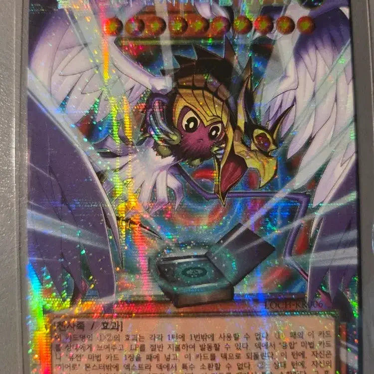 [BUNJANG] Winged Kuriboh Sabatiel Card / 날개 크리보 사바티엘