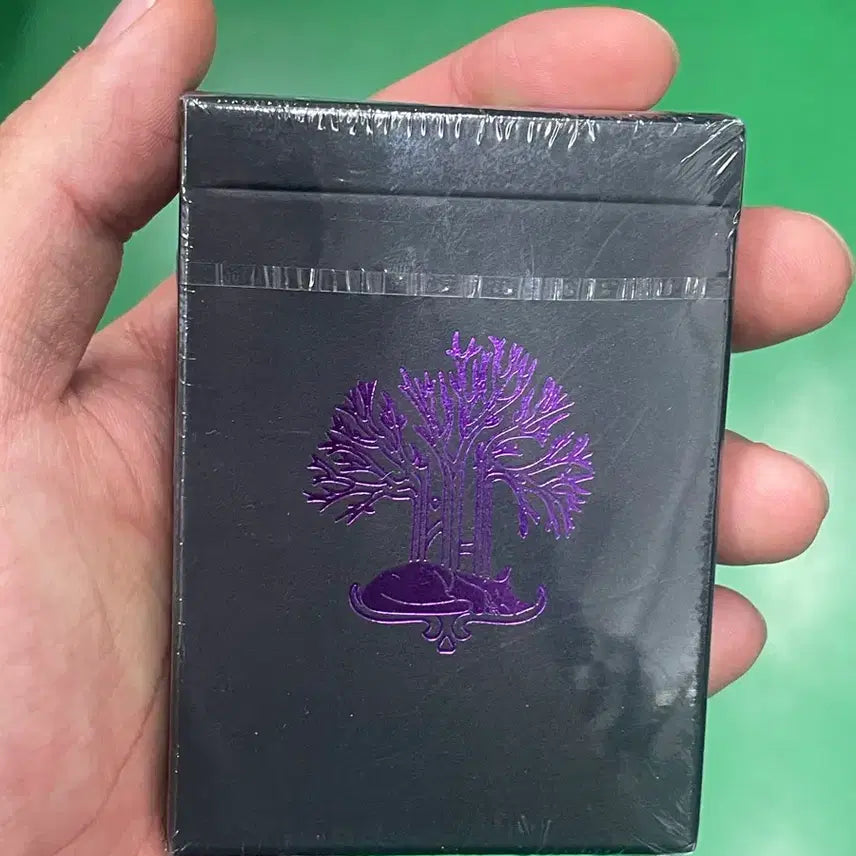 [SOLD OUT] 필트레 슈뢰딩거 미개봉
