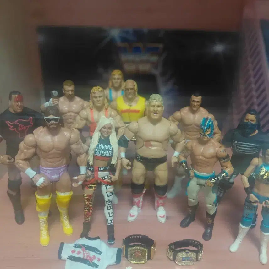[BUNJANG] WWE Wrestling Figures and Accessories Bundle / wwe 피규어 정리