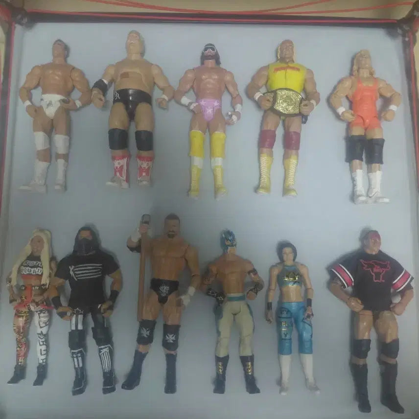 [BUNJANG] WWE Wrestling Figures and Accessories Bundle / wwe 피규어 정리