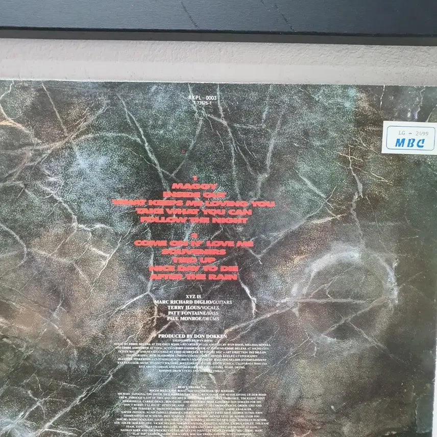 [BUNJANG] XYZ 1989 LP / XYZ LP 1989 라이센스