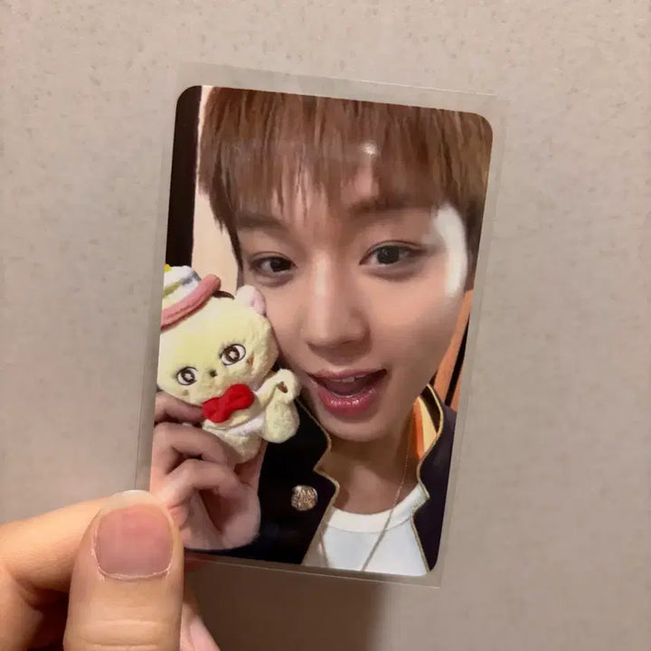 [BUNJANG] Park Jihoon Ssimssim Photocard / 박지훈 소심이 팝업 5만 포카