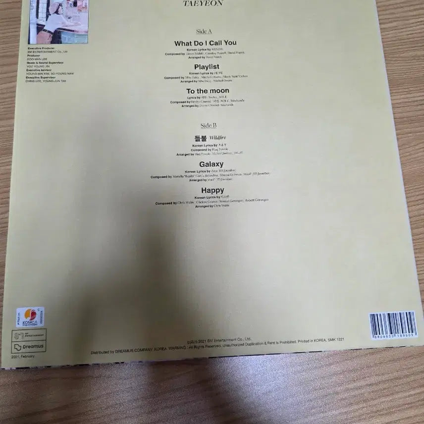 [BUNJANG] Taeyeon What Do I Call You LP / lp 태연 What Do I Call You
