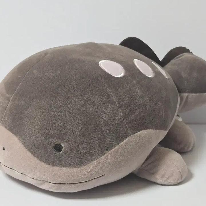 [BUNJANG] Pokemon Torkoal Plush Toy / 포켓몬스터 토오 봉제 인형