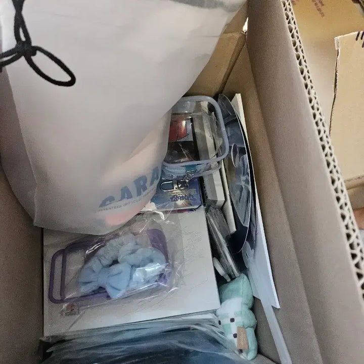 [BUNJANG] SEVENTEEN Various Merchandise Bundle / 이사처분) 세븐틴 굿즈 나눔급 처분