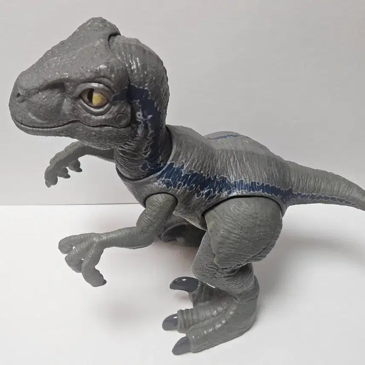 [BUNJANG] Mattel Jurassic World Baby Blue Velociraptor Dinosaur Figure / 마텔 쥬라기월드 베이비 블루 공룡 피규어 벨로시랩터