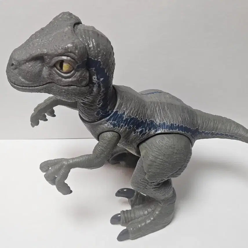 [BUNJANG] Mattel Jurassic World Baby Blue Velociraptor Dinosaur Figure / 마텔 쥬라기월드 베이비 블루 공룡 피규어 벨로시랩터