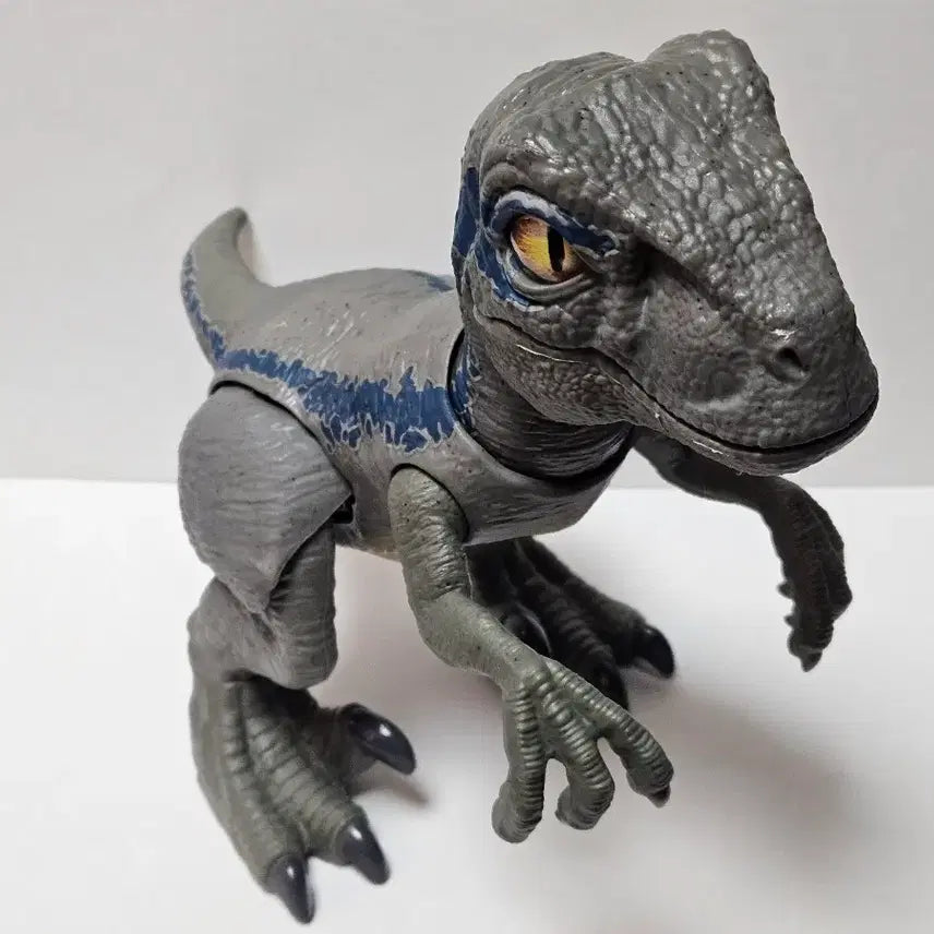 [BUNJANG] Mattel Jurassic World Baby Blue Velociraptor Dinosaur Figure / 마텔 쥬라기월드 베이비 블루 공룡 피규어 벨로시랩터