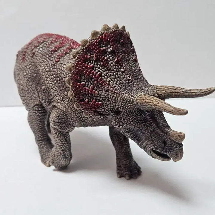 [BUNJANG] Schleich Triceratops Dinosaur Figure Toy / 슐라이히 트리케라톱스 공룡 피규어 장난감