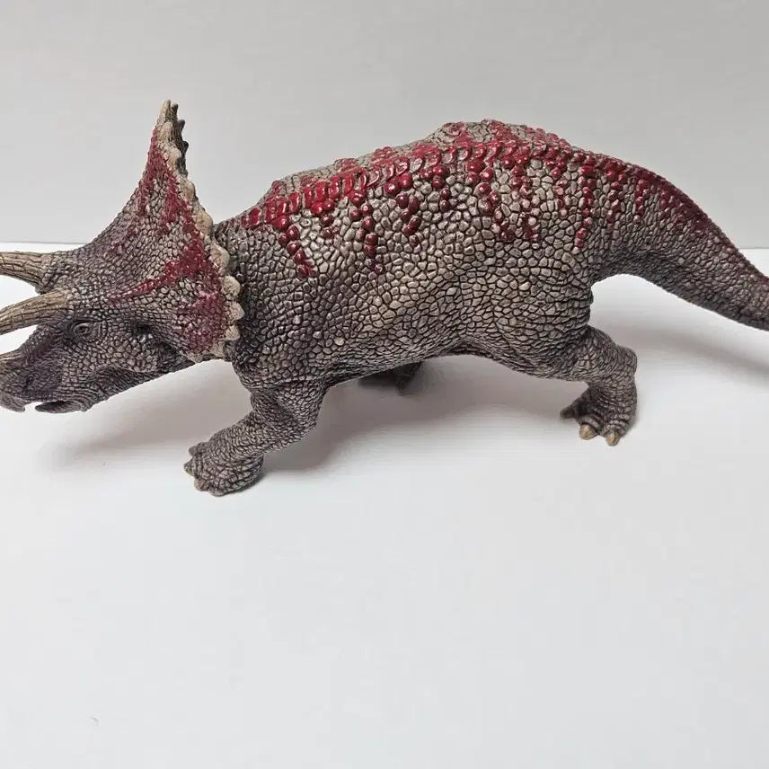 [BUNJANG] Schleich Triceratops Dinosaur Figure Toy / 슐라이히 트리케라톱스 공룡 피규어 장난감