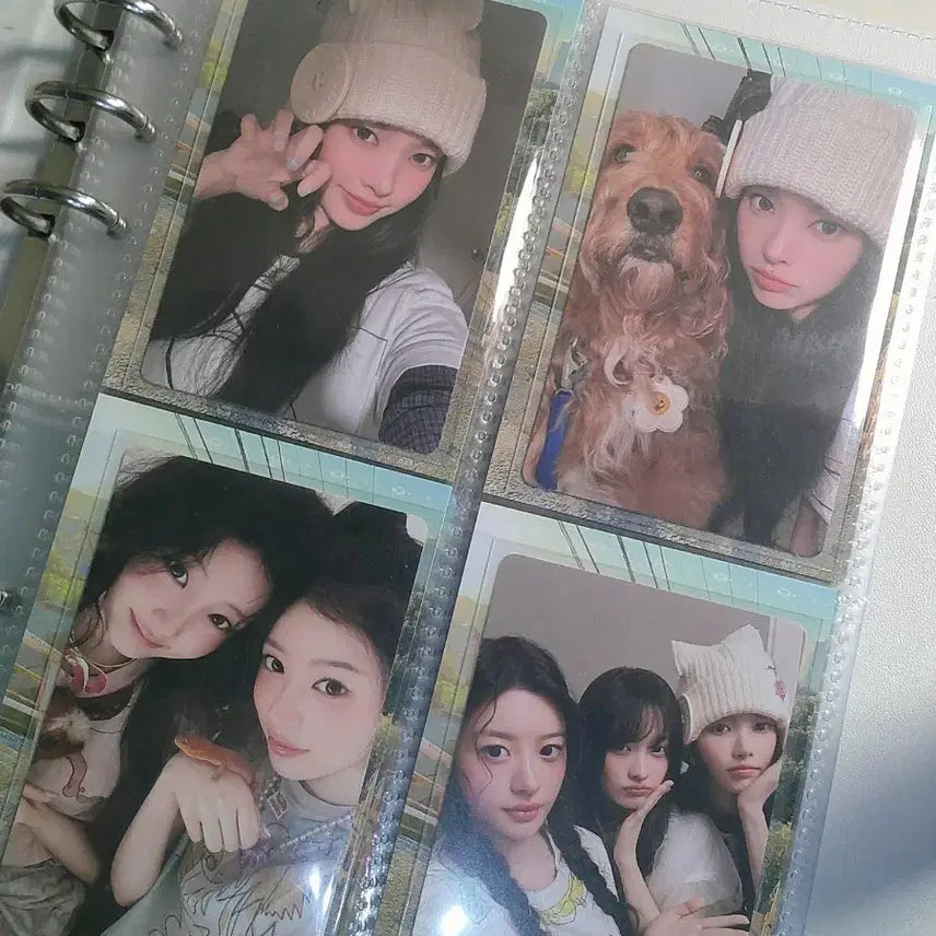 [BUNJANG] ILLIT Photocard Bundle Set / 아일릿 포카 일괄 양도 + 아일릿 공개앨범