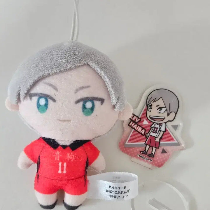 [BUNJANG] Haikyuu!! Haiba Lev Plush Toy with Acrylic Stand / 하이큐 하이바 리에프 인형 아크릴도 같이 드려요