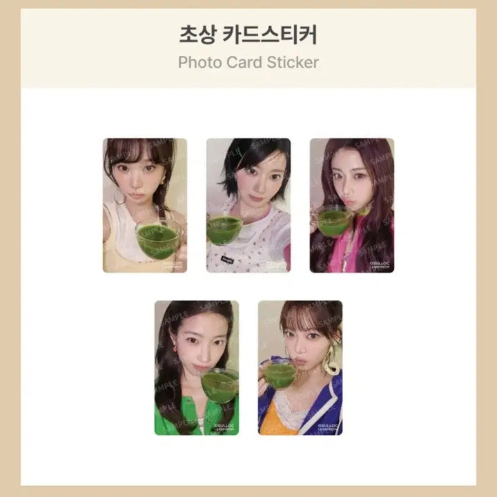 [BUNJANG] LE SSERAFIM Hong Eunchae Osulloc Photocard / 르세라핌 홍은채 오설록 포카