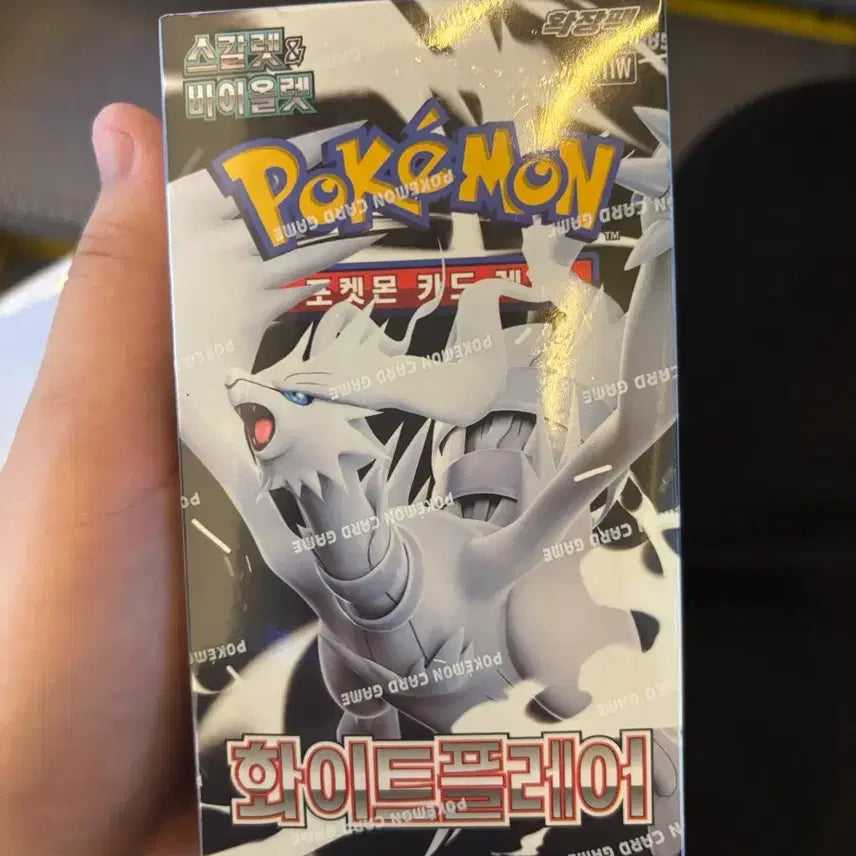 [SOLD OUT] 포켓몬 화이트플레어