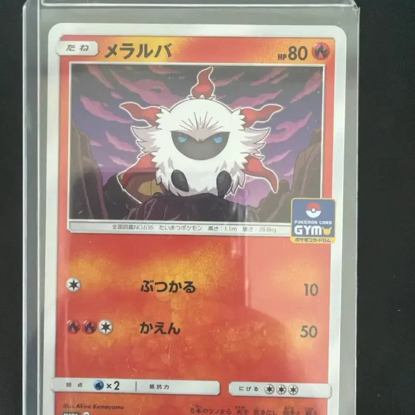 [BUNJANG] Pokemon Card Japanese Charizard Gym Promo / 포켓몬카드 일본판 활화르바 짐프로모