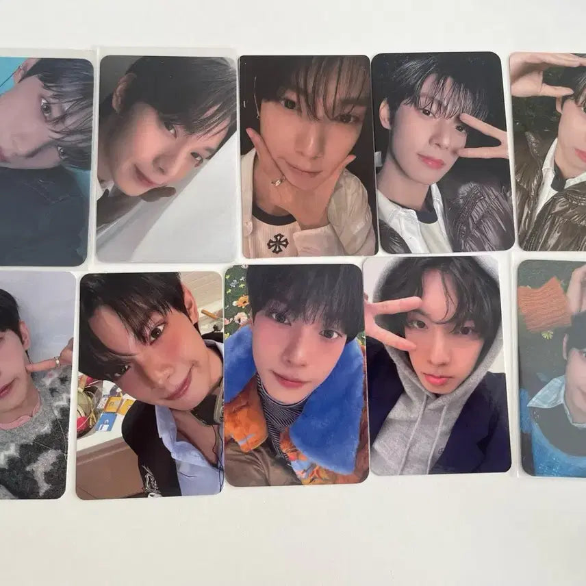 [BUNJANG] Flare U Choi Ripwoo Photocard Bundle Set / 플레어유 최립우 포카 일괄 양도