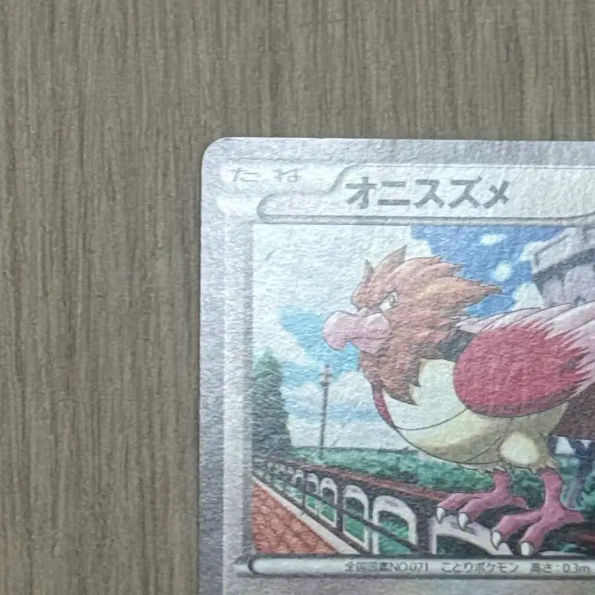 [BUNJANG] Pokemon Card Fletchling (052/078) Japanese / 포켓몬카드 깨비참 일판 052/078