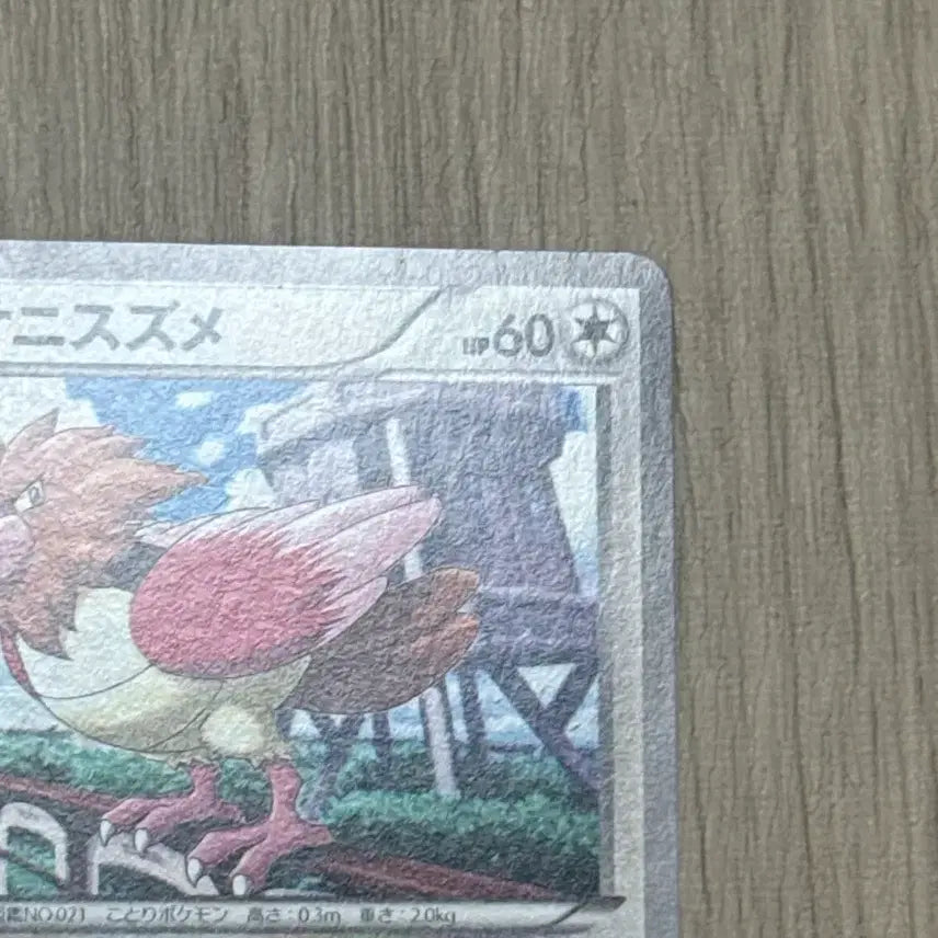 [BUNJANG] Pokemon Card Fletchling (052/078) Japanese / 포켓몬카드 깨비참 일판 052/078
