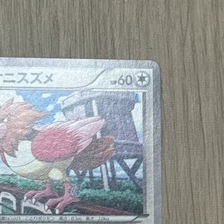 [BUNJANG] Pokemon Card Fletchling (052/078) Japanese / 포켓몬카드 깨비참 일판 052/078