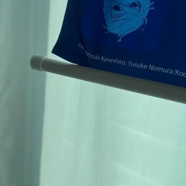 [BUNJANG] Blue Lock Nagi Seishiro Original Art Tapestry / 희귀매물) 블루록 나기 세이시로 원화 원작 태피스트리