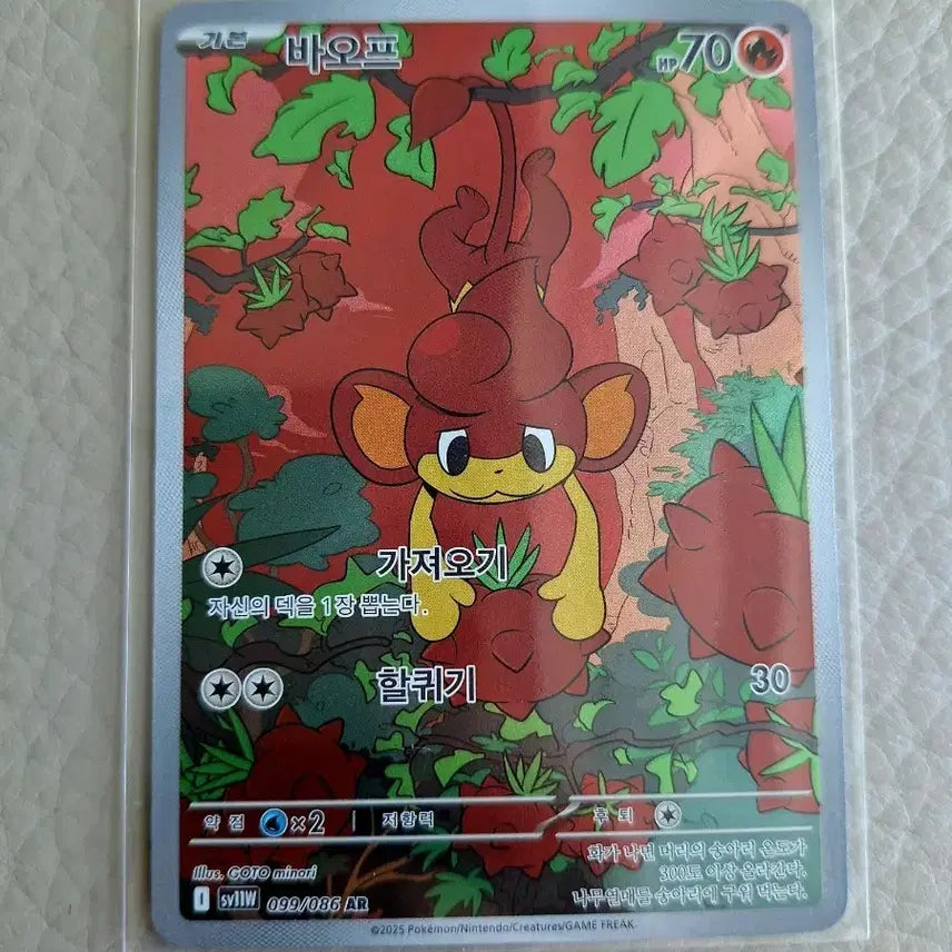 [BUNJANG] Pokemon Card Baof 