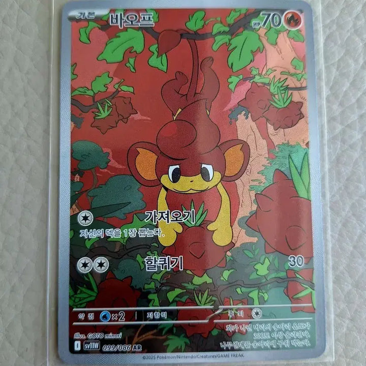 [BUNJANG] Pokemon Card Baof 