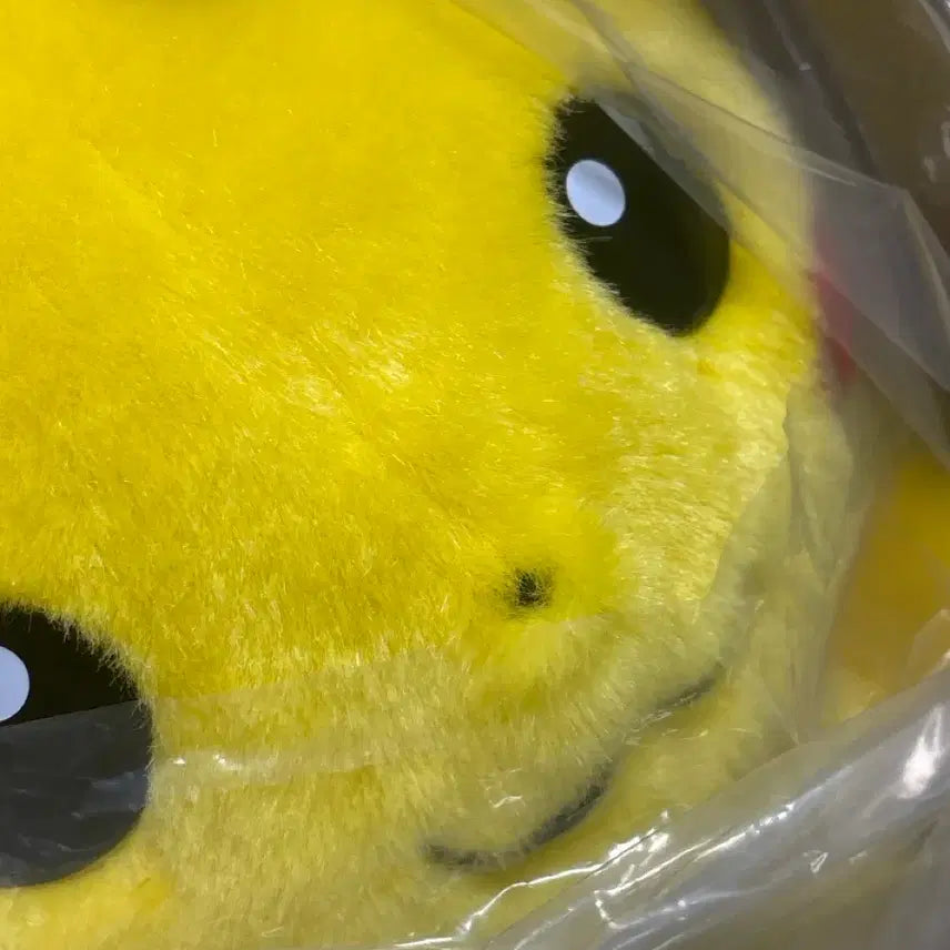 [BUNJANG] Pokemon 30th Anniversary "Welcome! Pikachu!" "Chubbychu" Plush Doll / 포켓몬스터 30주년 어서와! 피카츄!/뚱카츄 인형
