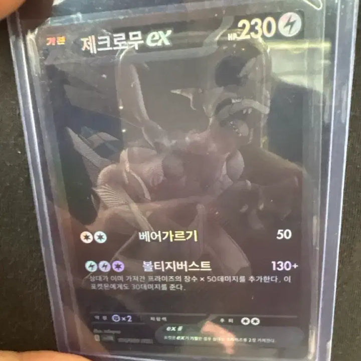 [BUNJANG] Zacian &amp; Zamazenta Zacian Zamazenta Bundle Set Photocard / 제크로무 bwr