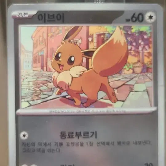 [BUNJANG] Pokemon Eevee Basic Promo Card / 포켓몬 카드 이브이 기본 카드 프로모