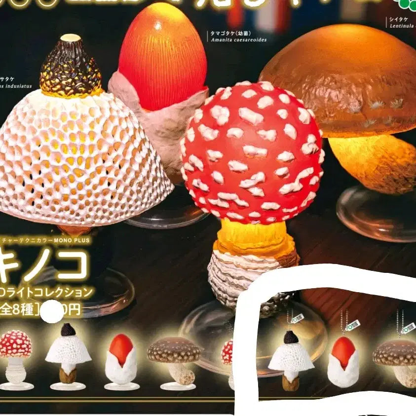 [BUNJANG] Mushroom Mood Lamp Keyring Gacha / [미개봉] 버섯 무드등 키링 가챠 독버섯 마그넷 가챠