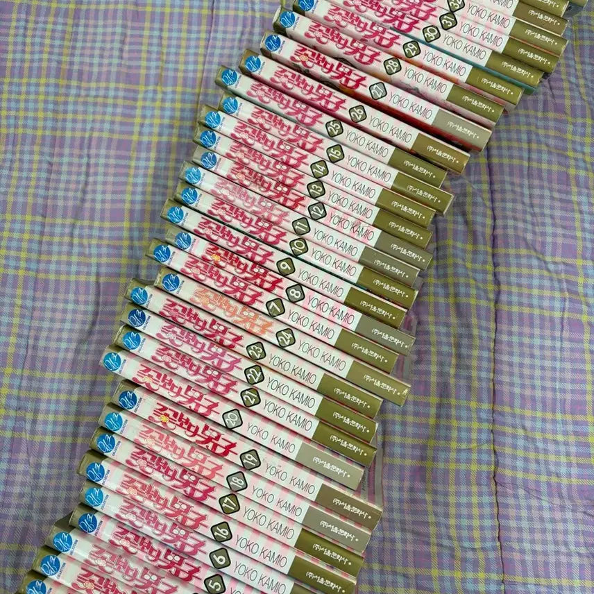 [BUNJANG] Boys Over Flowers (Hana Yori Dango) Complete Set (Volumes 1-37) / (이번주 까지만 할인)고전만화 꽃보다 남자 (1~37권) 전권 세트