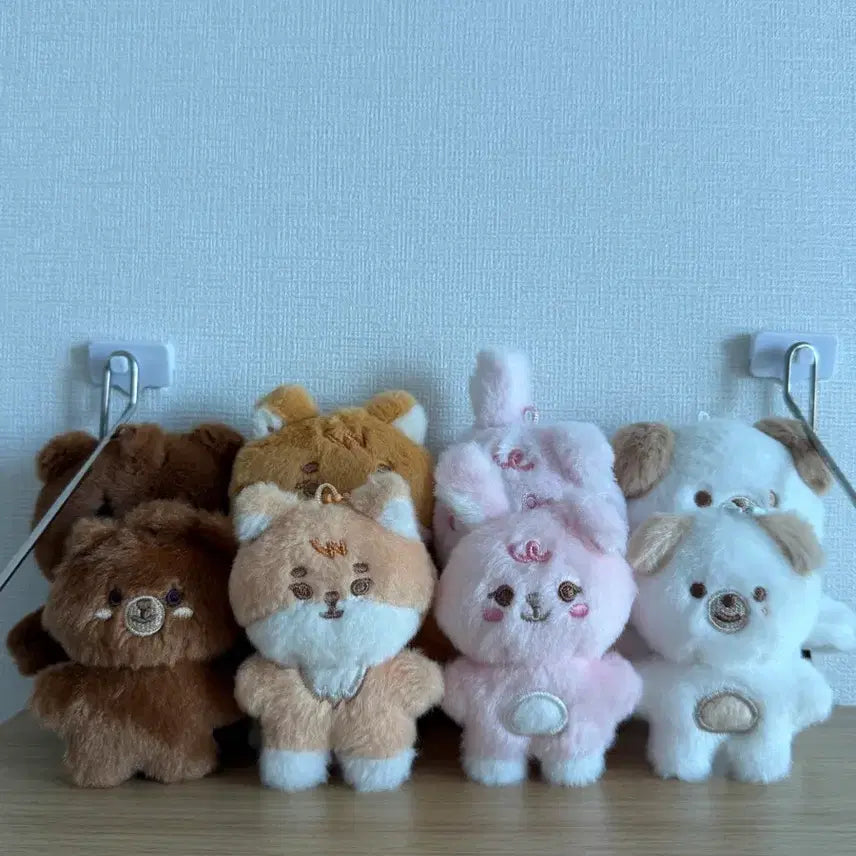 [SOLD OUT] 데이식스 쁘쁘멀 방케필돈 일괄