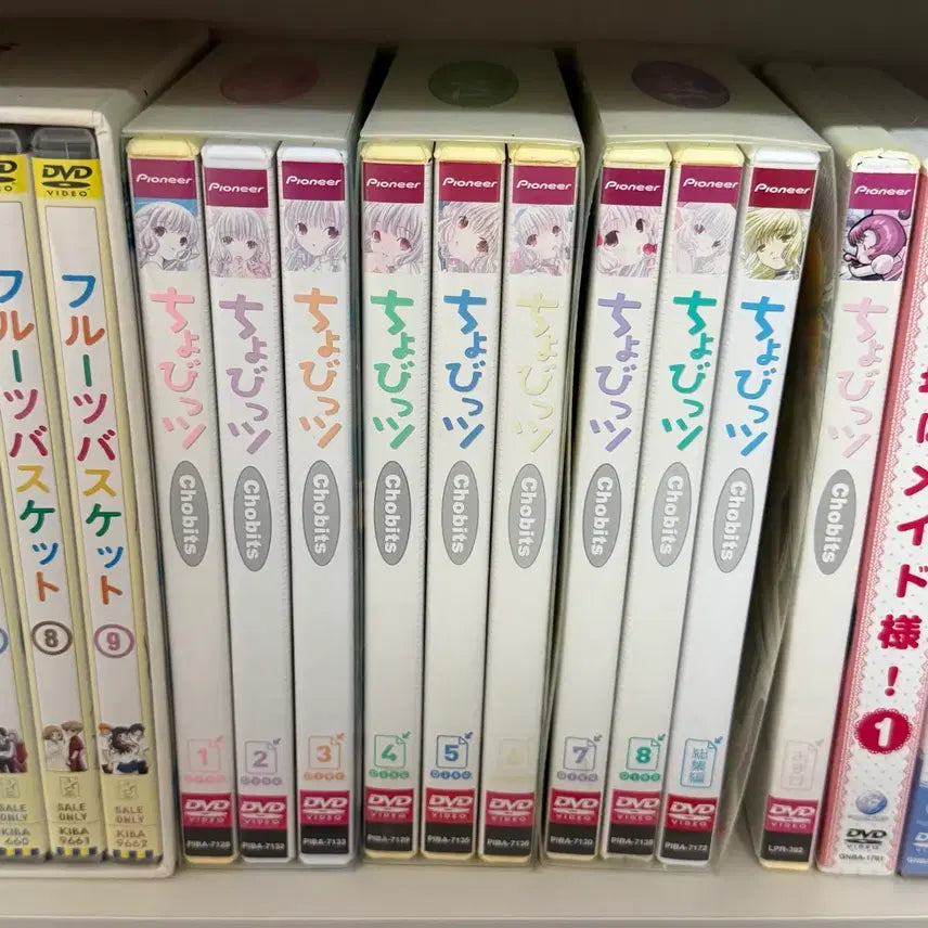 [BUNJANG] Chobits Complete DVD Set / 쵸비츠 디비디 dvd