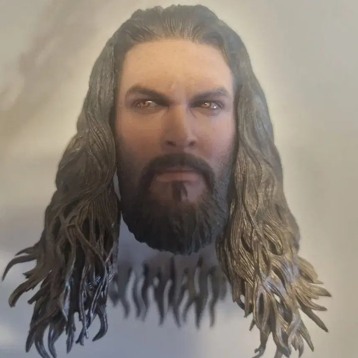 [BUNJANG] Hot Toys Aquaman Figure Head / 핫토이 아쿠아맨 피규어 헤드