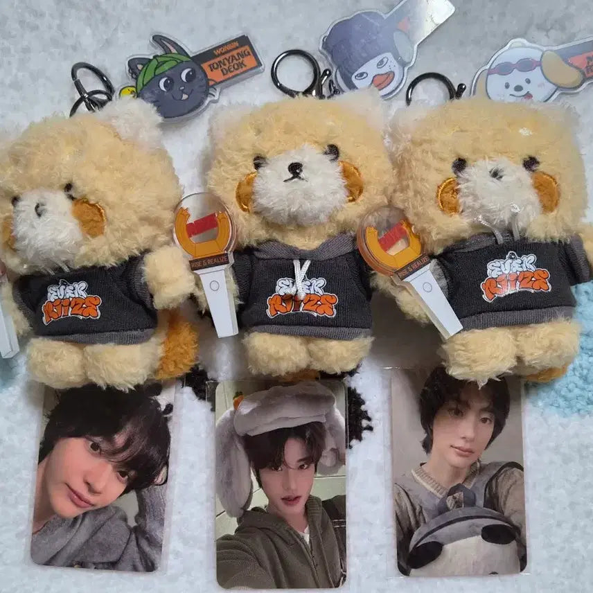 [BUNJANG] RIIZE Everland Reci Doll / 라이즈 에버랜드 레시 인형