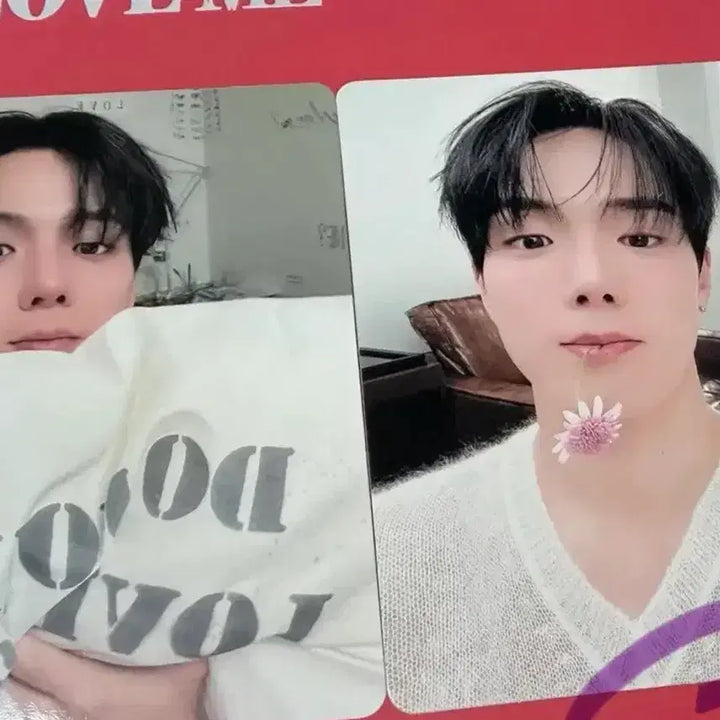 [BUNJANG] MONSTA X Shownu Lucky Draw Photocard Bundle Set / 셔누 러브미 특전 2장 일괄가격